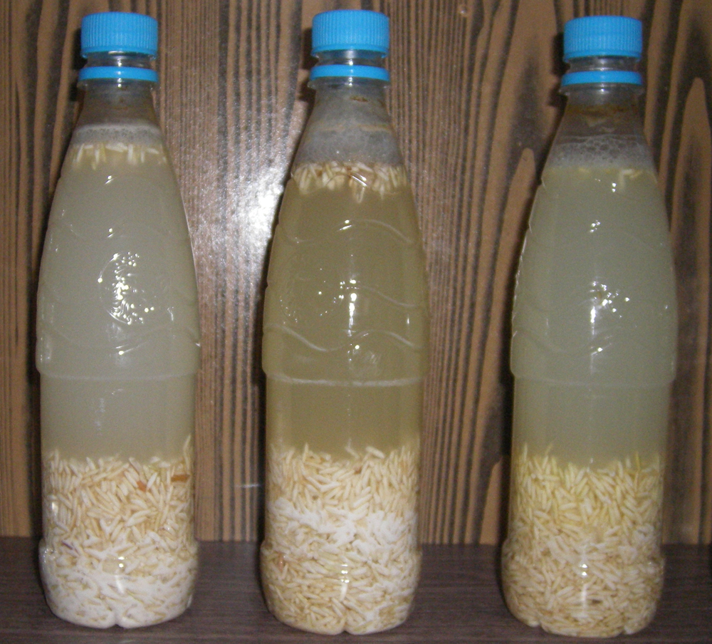 18 день эксперимента 18 день эксперимента