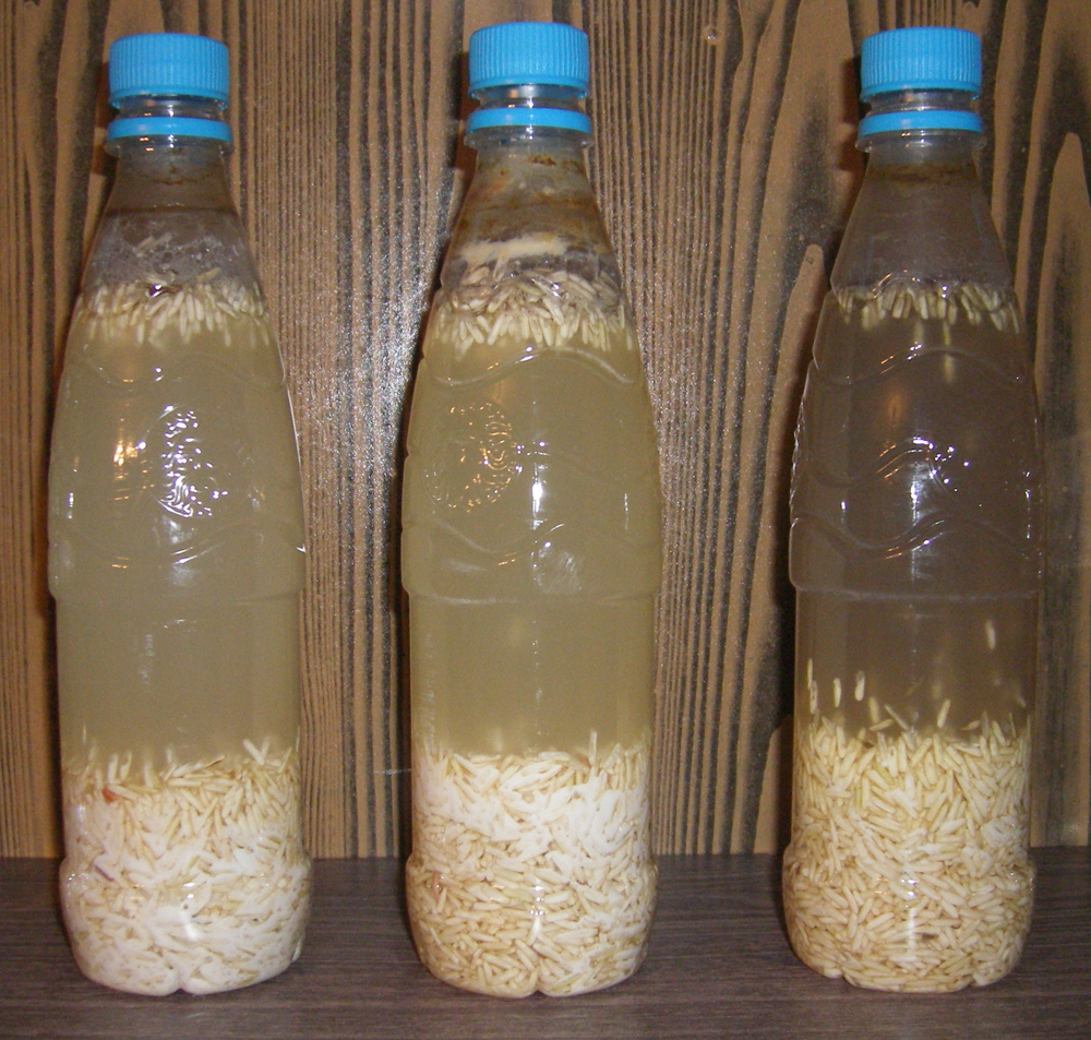 33-й день эксперимента 33-й день эксперимента