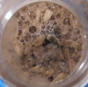 принимающая негатив бутылка