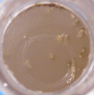 Эксперимент принимающая позитив